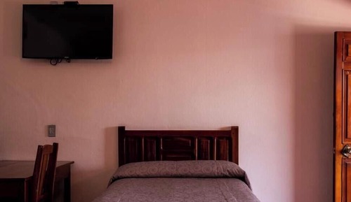 Comfort Single Room