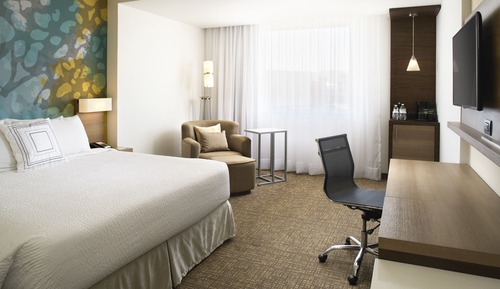 Room, 1 King Bed