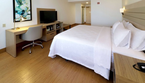 Room, 1 King Bed, Non Smoking
