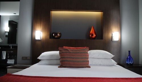 Room, 1 King Bed