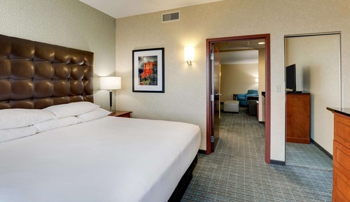 Suite, 1 King Bed, Hearing Accessible (Meeting,Sofa Sleeper,Roll-in,2 Rooms)