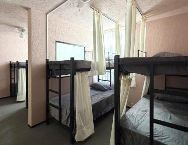 Bed in 8-Bed Dormitory Room