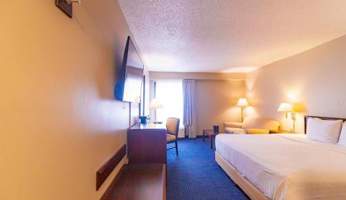 Business King Room - Non-Smoking