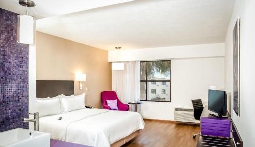 Executive King Room