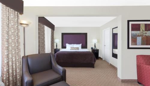 Deluxe King Suite with Sofa Bed - Non-Smoking