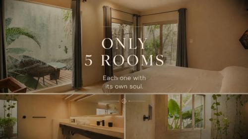 Deluxe King Suite