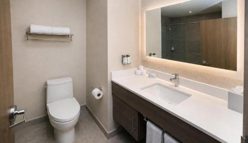 Standard King Room with Extra Space