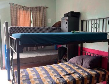 6-Bed Mixed Dormitory Room