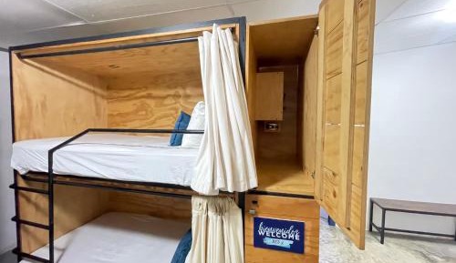 Bed in 6-Bed Mixed Dormitory Room