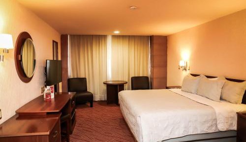 Standard Queen Room