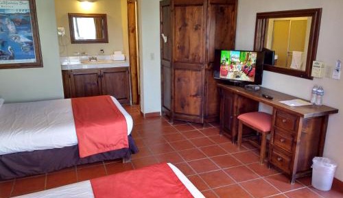 Standard Double or Twin Room with Sea View