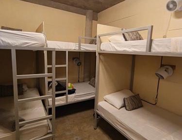 Bed in 6-Bed Mixed Dormitory Room