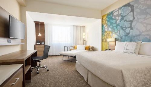 Large King Room with Sofa Bed