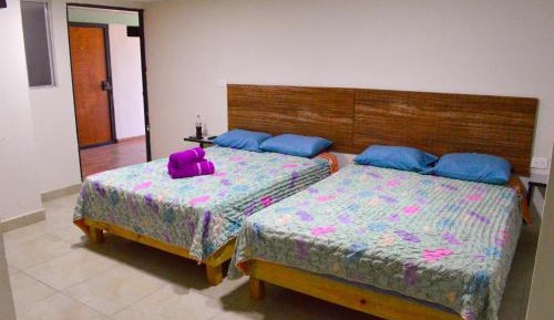 Economy Quadruple Room