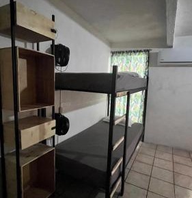Bunk Bed in Mixed Dormitory Room