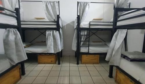 Bunk Bed in Mixed Dormitory Room