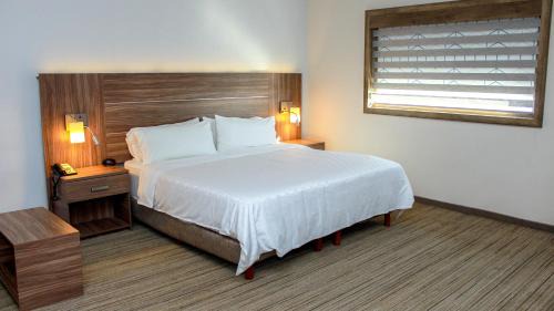 Junior King Suite