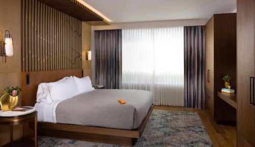 One-Bedroom Premium King Suite with Sofa Bed