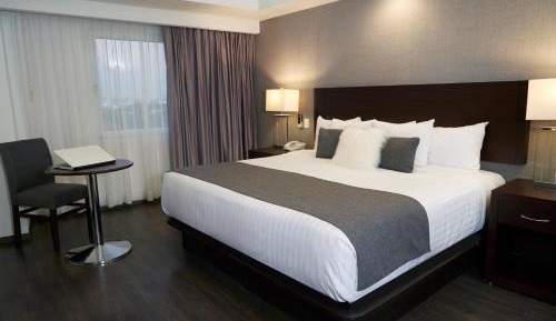 Standard King Room