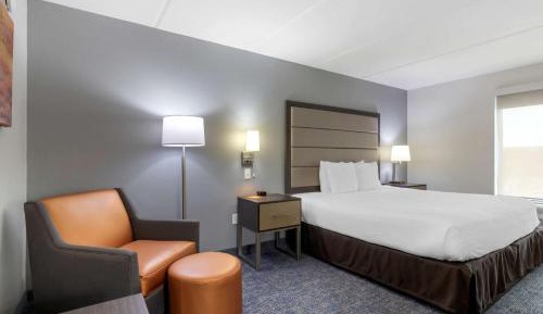 King Room with Roll-In Shower - Disability Access