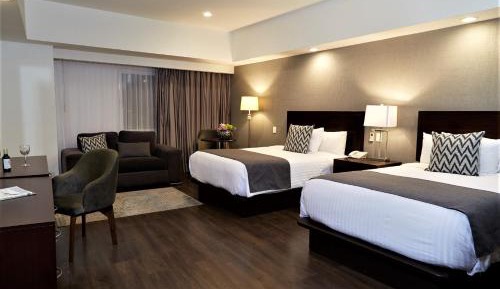 Executive Suite