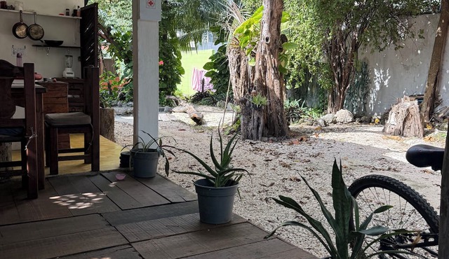Beautiful treehouse in the heart of Tulum