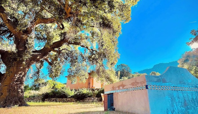 Casita de Adobe: Escape to the Sierra and Disconnect