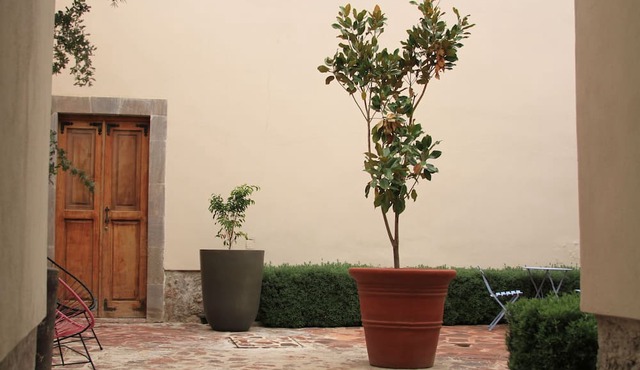 La-Casa Cosme