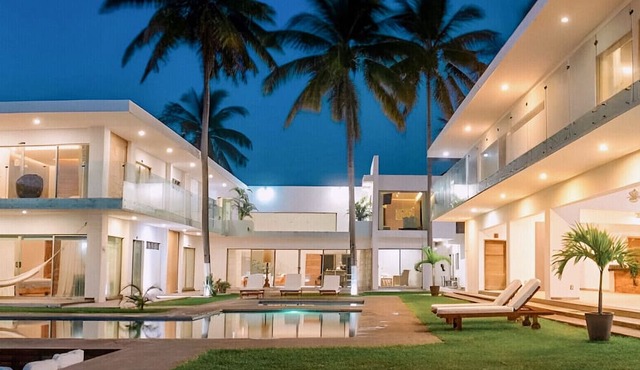 Luxury Palms