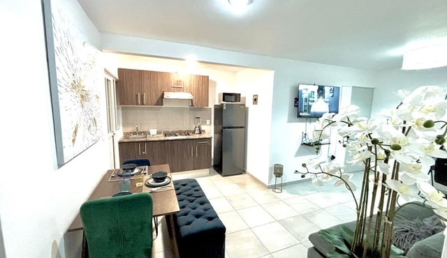 COMFORTABLE APARTMENT "COLIBRI" IN QUERETARO, MEXICO. PLACE OF VINEYARDS !